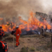 Ambientalistas exigen inmediata atención a incendios forestales