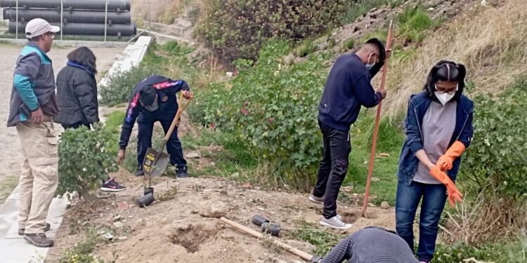 Ambientalistas que inyectan vida y oxígeno