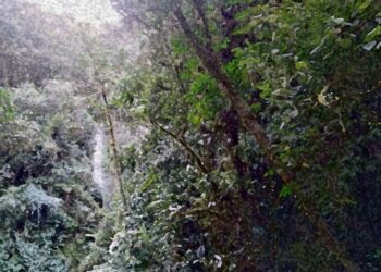 ANA y Prodena suscriben convenio para trabajo conjunto en corredor de conservación de la biodiversidad