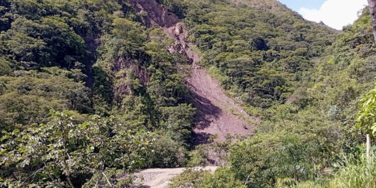 Áreas protegidas: proveedoras de servicios ecosistémicos