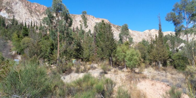 Pasar la tuición de EMA Verde a las sub alcaldías genera inquietud en ciudadanía