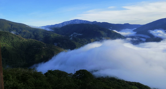 Alianza apoya capacidades a periodistas para la conservación del Corredor Madidi – Pilón Lajas – Cotapata en Bolivia