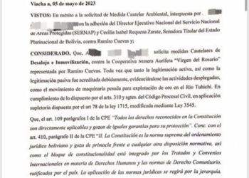 Juez ordena paralización de actividad minera aurífera en el río Tuichi