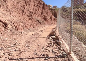 Ambientalistas y vecinos denuncian destrucción del Sendero del Águila