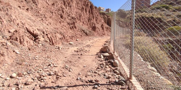 Ambientalistas y vecinos denuncian destrucción del Sendero del Águila