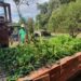 Probioma: entre el 2000 y el 2022 se importaron para Bolivia 2.476 millones de kg de agroquímicos