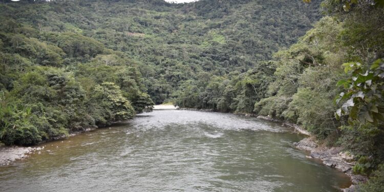 Cáritas moviliza a cinco municipios para salvar la cuenca del Río Coroico