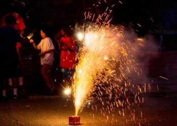 Concientizarán sobre el impacto negativo de los fuegos artificiales y fogatas en la fauna silvestre