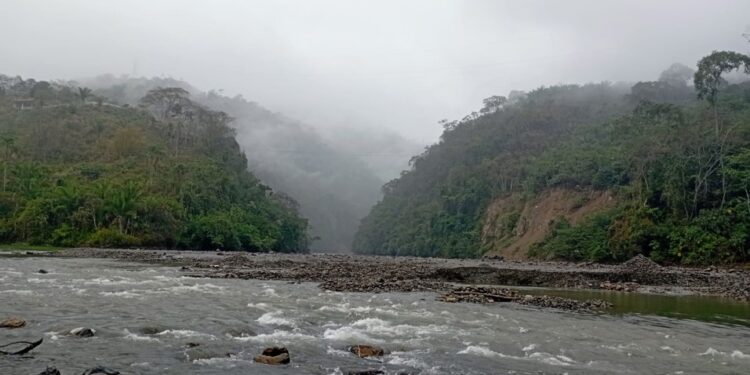 Caranavi: proyectan creación de albergue para animales silvestres