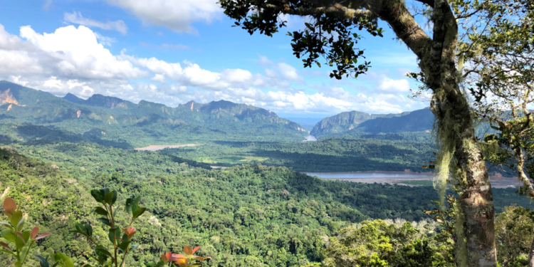 23 comunidades indígenas: ejemplo de co-gestión y conservación en Reserva Pilón Lajas