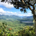 23 comunidades indígenas: ejemplo de co-gestión y conservación en Reserva Pilón Lajas