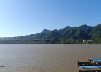 Pre Fospa IX para reducir la deforestación y degradación forestal