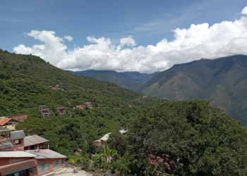 COROICO: educadores reconocen importancia de la educación ambiental