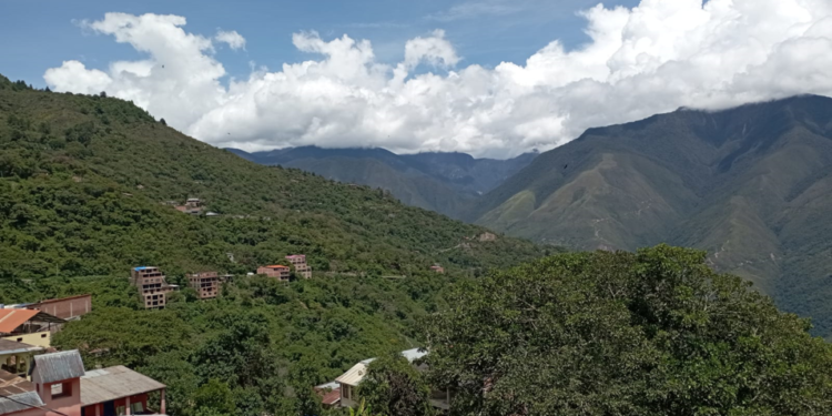 COROICO: educadores reconocen importancia de la educación ambiental