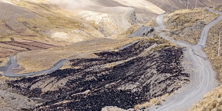Parque Nacional Cotapata: advierten paulatina desecación de humedales