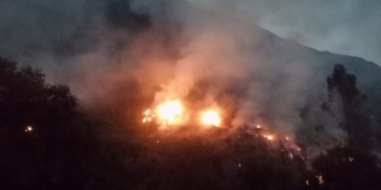 Incendios: una de las principales causas de los desastres ambientales en Bolivia