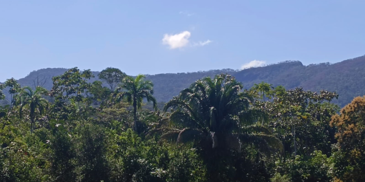 Reserva de la Biosfera Pilón Lajas, rica en turismo comunitario, biodiversidad y belleza paisajística