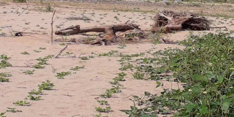 Comunaria tacana lamenta la contaminación que sufre su pueblo