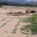 Comunaria tacana lamenta la contaminación que sufre su pueblo