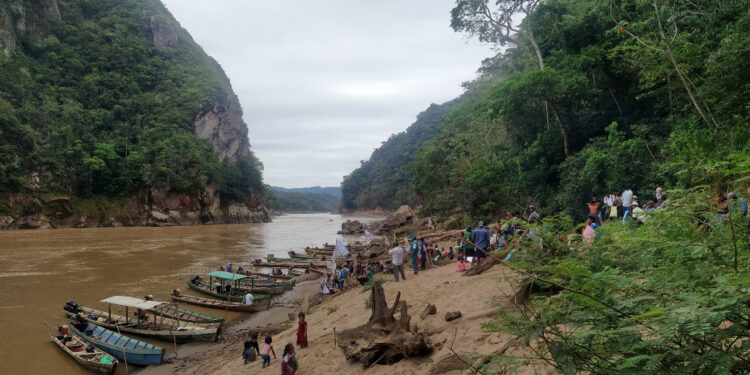La acción ambiental como herramienta jurídica constitucional en defensa del medioambiente