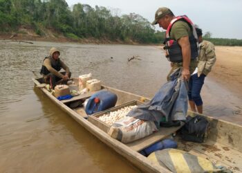 Madidi: Tráfico de vida silvestre y extracción indiscriminada de huevos de tortugas ponen en peligro la especie 