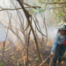 Incendios en Pampas del Yacuma: árboles carbonizados y suelos agrietados