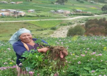 Con implementación de enfoque territorial biocultural logran mejores condiciones de vida en comunidades
