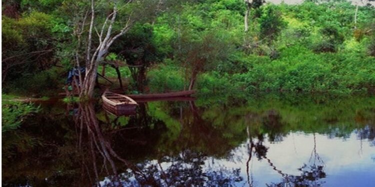 Pando: Reserva Nacional Manuripi, la más diversa de la región