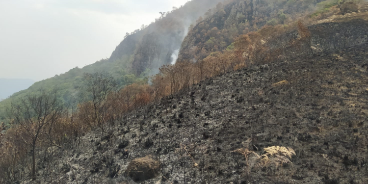 Guardaparque del Madidi enfrenta proceso judicial por defender la naturaleza