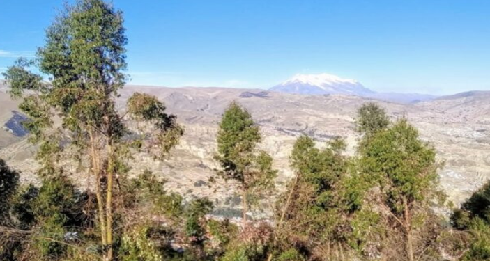 Asamblea Legislativa debe elevar a rango de ley nacional la potestad de crear y administrar áreas protegidas