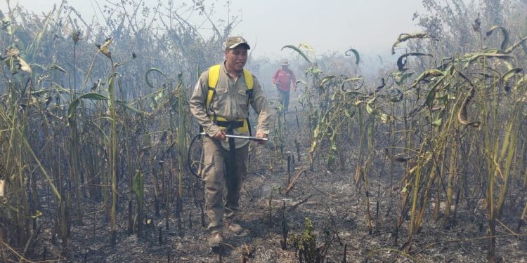 Pueblos indígenas en emergencia por incendios en el Madidi y Pilón Lajas: se activan campañas