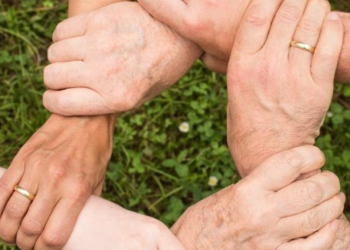 Sociedad civil internacional llama a la solidaridad con Bolivia