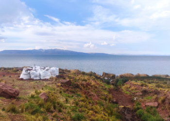 Aves afectadas por derrame de aceite mueren por hipotermia