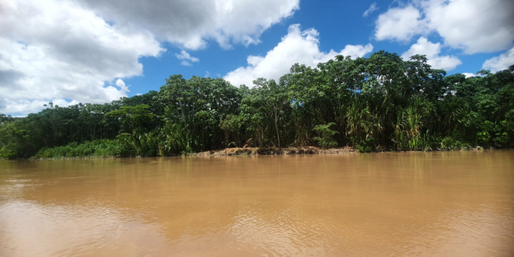 El Gran Manupare: nueva área protegida municipal en  Pando