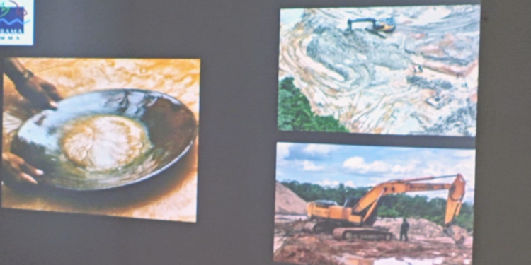 Rizza Oliveira: La minería aurífera ilegal  está relacionada con el narcotráfico en Brasil