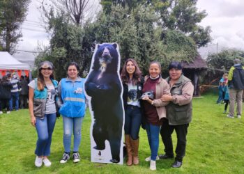 «Festival del Oso Andino» una experiencia educativa y de concientización