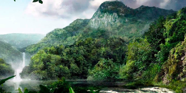 Colegios de biólogos enjuiciarán a mineros asentados en Parque Madidi