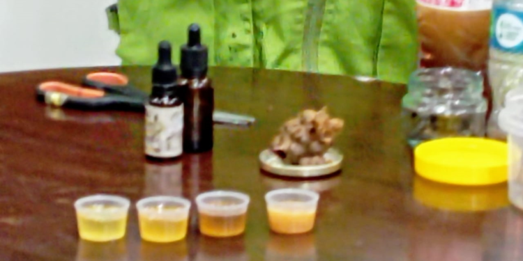 Abejas meliponas: vida, salud y biodiversidad