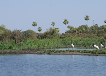 Nace comité impulsor para financiamiento de áreas protegidas
