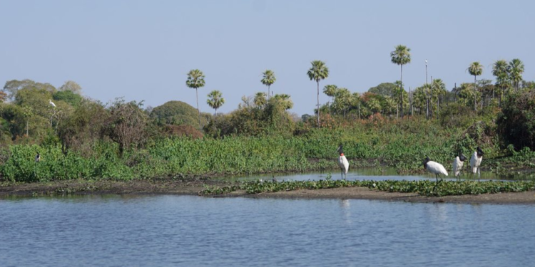 Nace comité impulsor para financiamiento de áreas protegidas