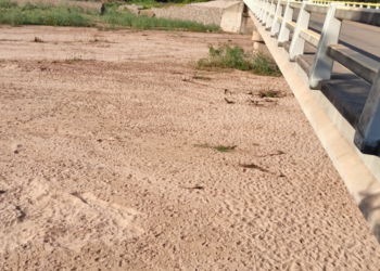 45 GRADOS DE TEMPERATURA, ES UNO DE LOS EFECTOS DEL CAMBIO CLIMÁTICO EN EL MUNICIPIO DE YACUIBA – GRAN CHACO
