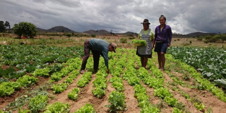 Agroecológicos de toda Bolivia se reúnen para proponer acciones al gobierno