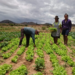 Agroecológicos de toda Bolivia se reúnen para proponer acciones al gobierno