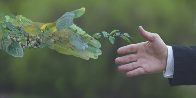 Suscrito y ratificado, Bolivia incumple el Acuerdo de Escazú