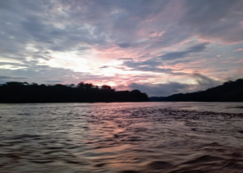 XI Fospa: 46 resoluciones y un mandato,  luchar por la vida y la amazonía