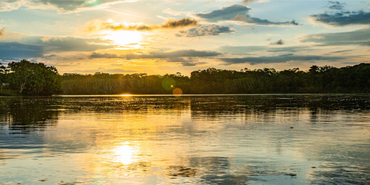 XI Fospa: se espera el protagonismo de pueblos indígenas de nueve países para la salvación de la Amazonía