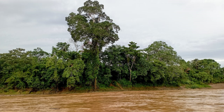 San Miguel del Bala, cacao, trapiche y un viaje en bote casi a oscuras