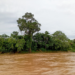 San Miguel del Bala, cacao, trapiche y un viaje en bote casi a oscuras