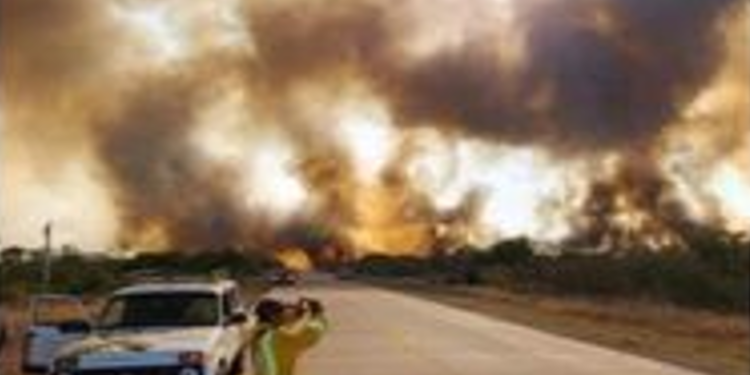 Roboré clama por atención ante los incendios provocados