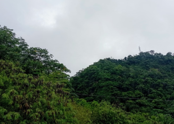 Guardaparques hacen conocer que el Sernap incumple obligaciones laborales